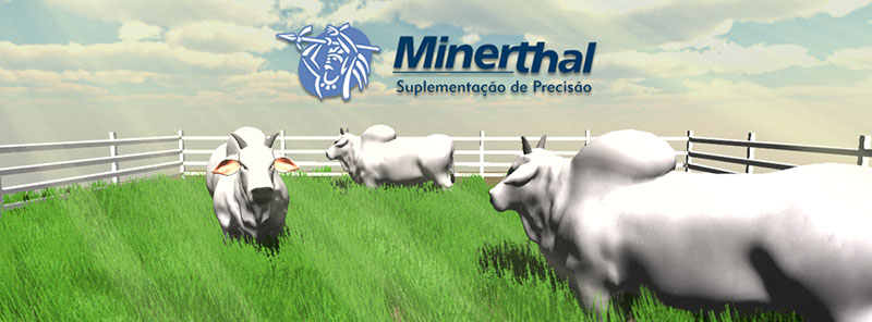 App Minerthal